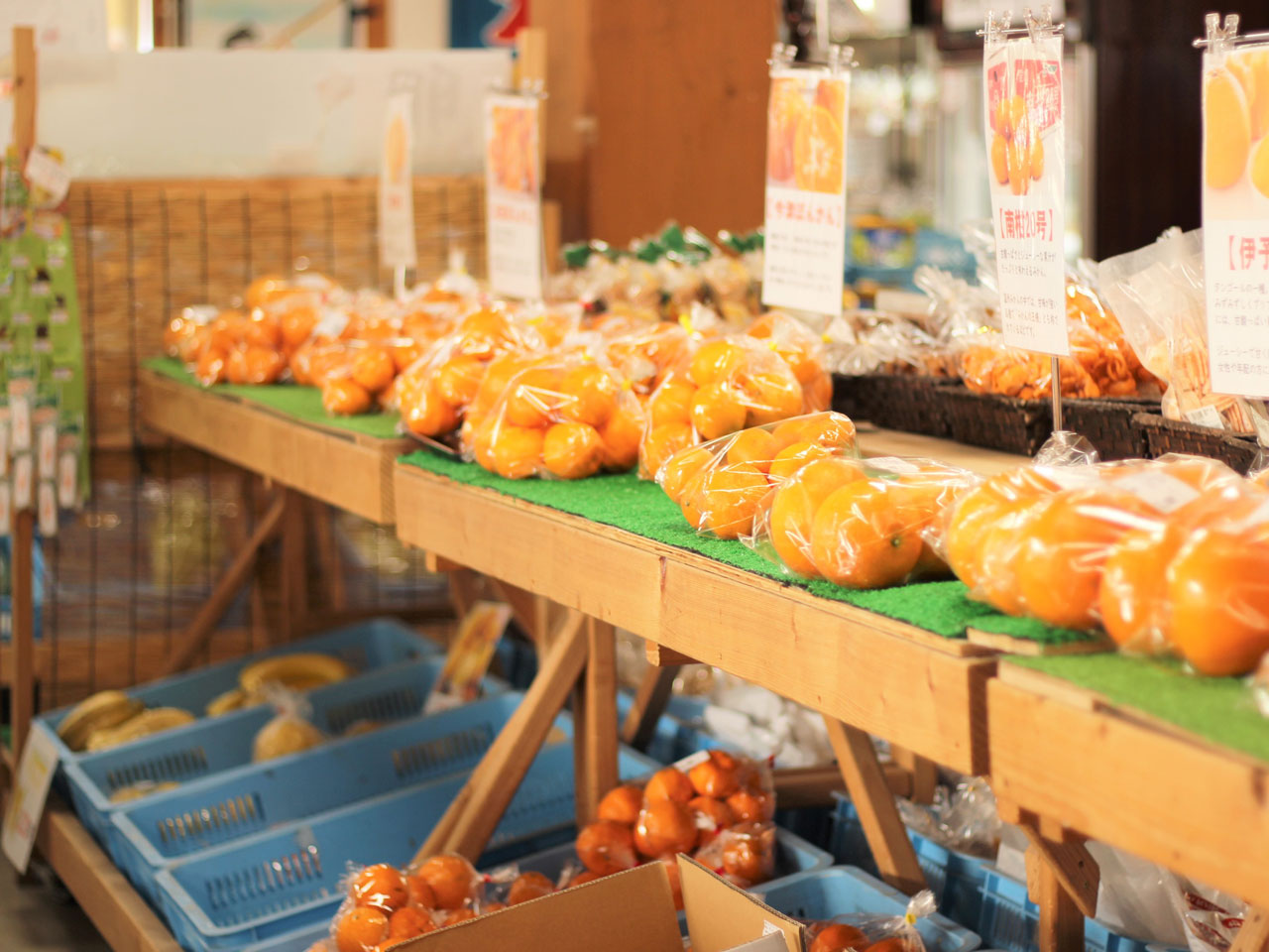 地元の野菜や果物の写真