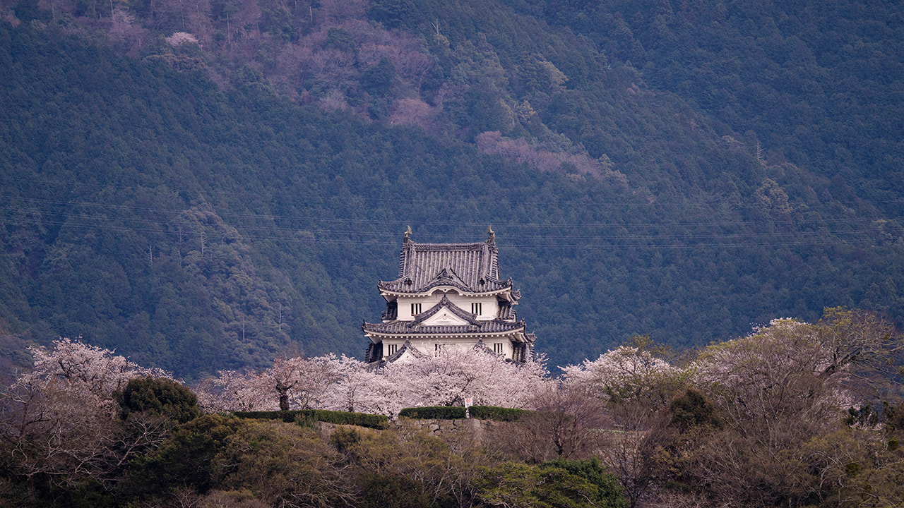 宇和島城の写真