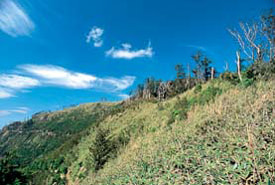 高月山の写真