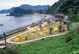 日崎海水浴場の写真