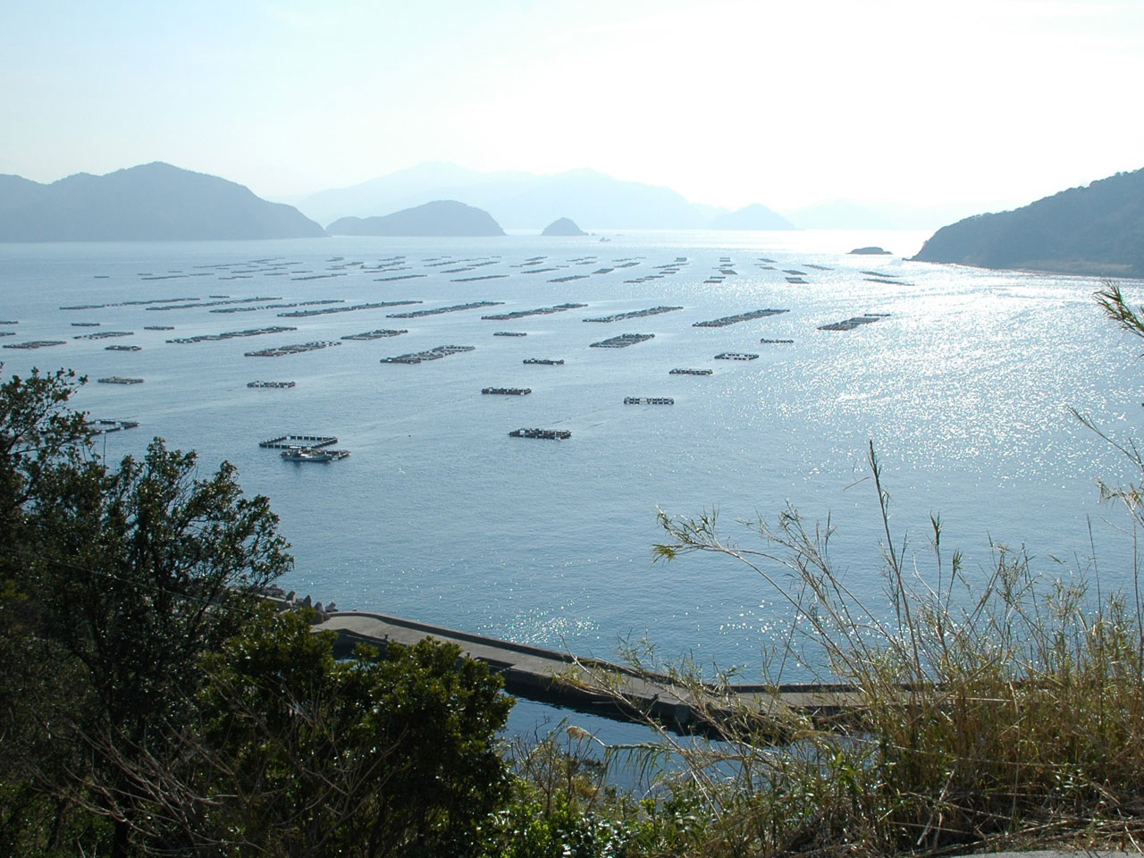 戸島の海の写真""