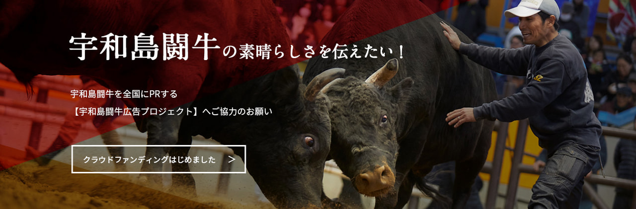宇和島闘牛クラウドファンディング