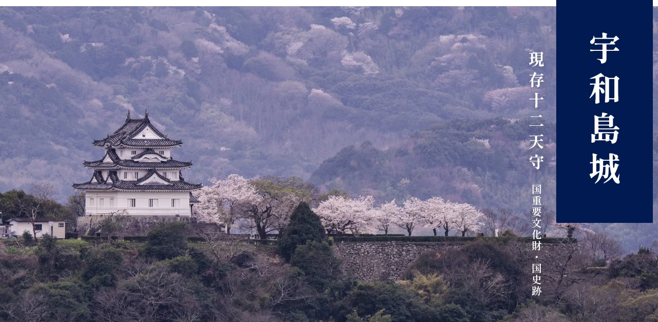 宇和島城の写真 現存十二天守 国重要文化財・国史跡