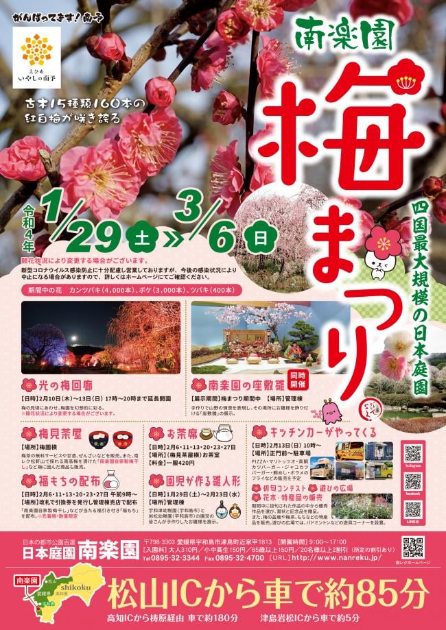 南楽園 梅まつり 開催中 お知らせ うわじま観光ガイド
