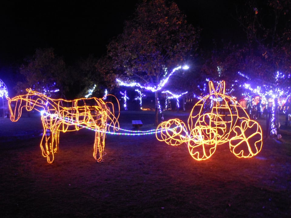 11/23-1/10】✨中山池自然公園イルミネーション✨ - お知らせ - うわじ