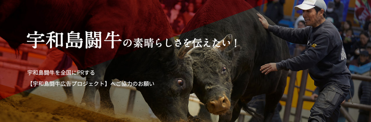 宇和島闘牛広告プロジェクト